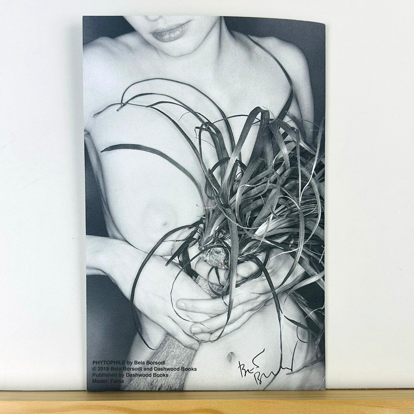 Phytophile by Bela Borsodi