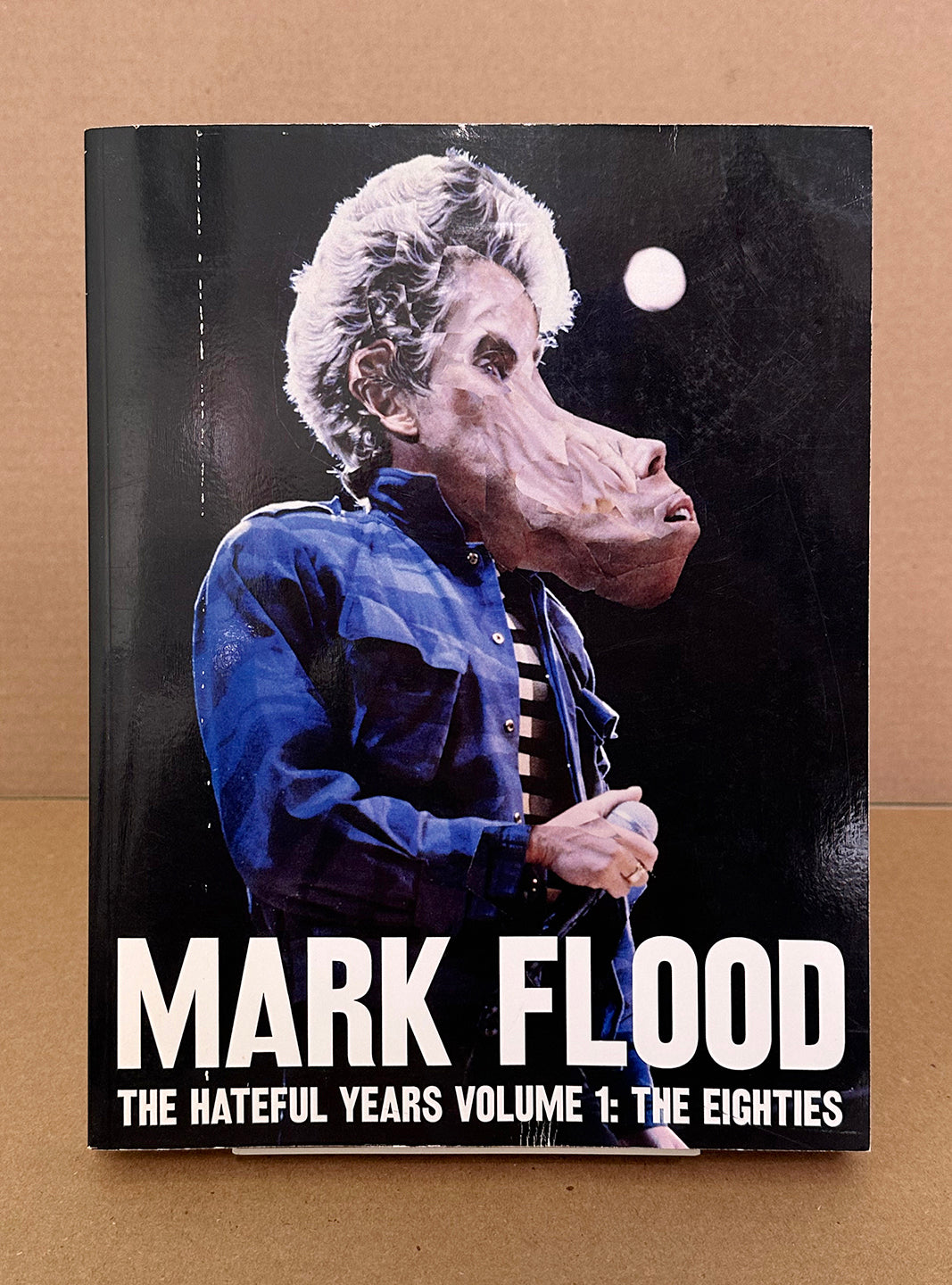 The Hateful Years Volume 1 : The Eighties by Mark Flood