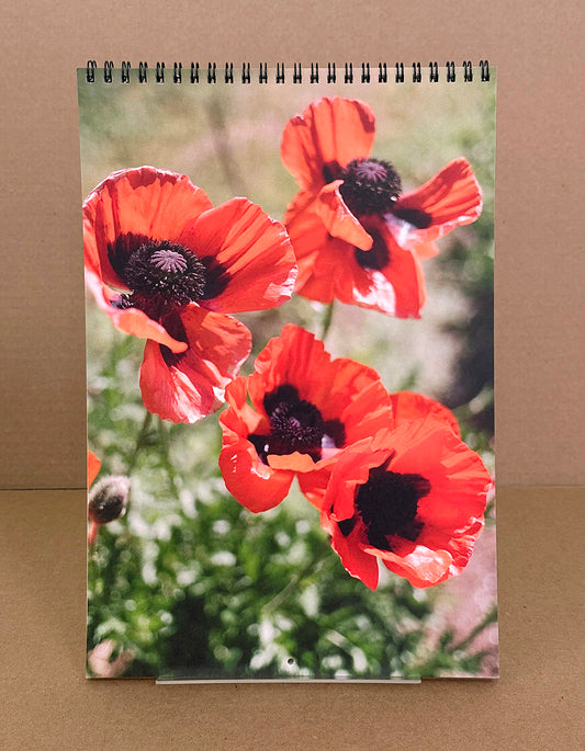 2026 Calendar by Georgia Hilmer