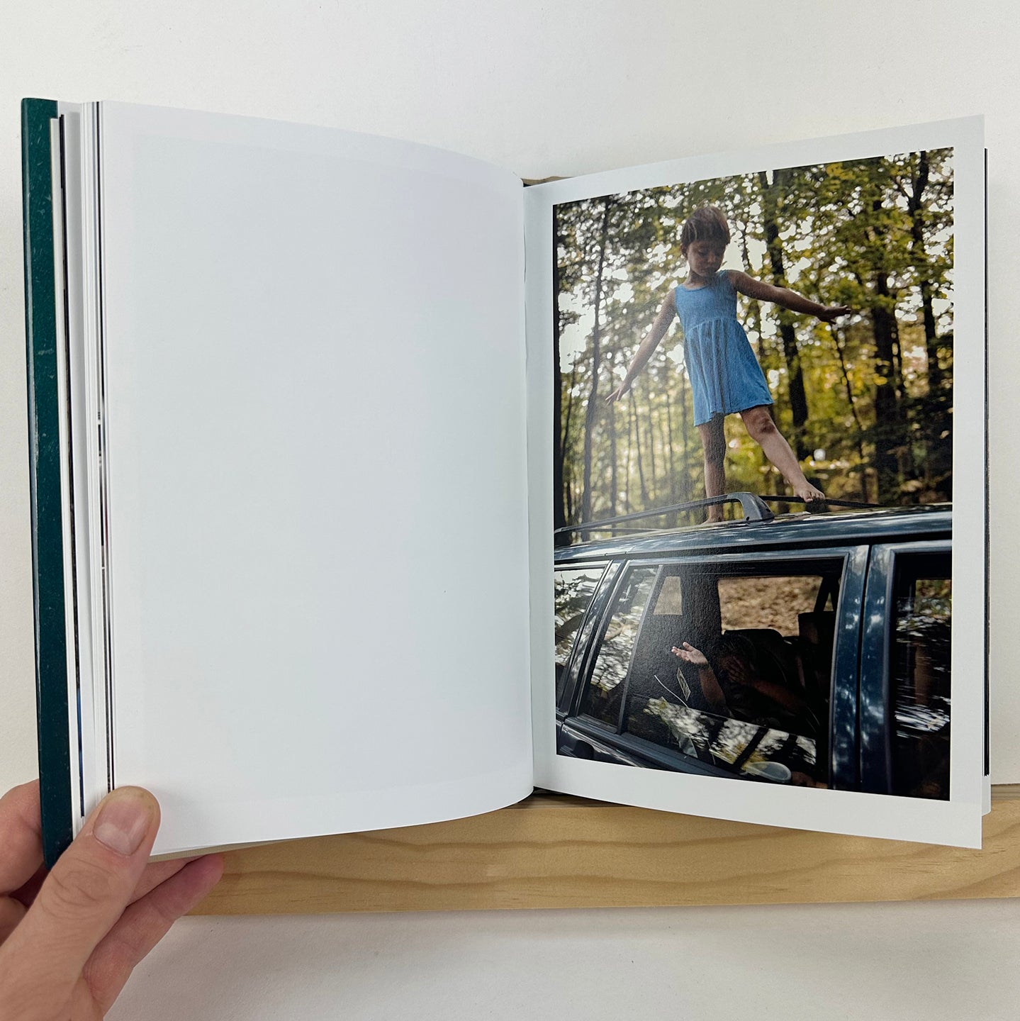 Family Car Trouble by Gus Powell