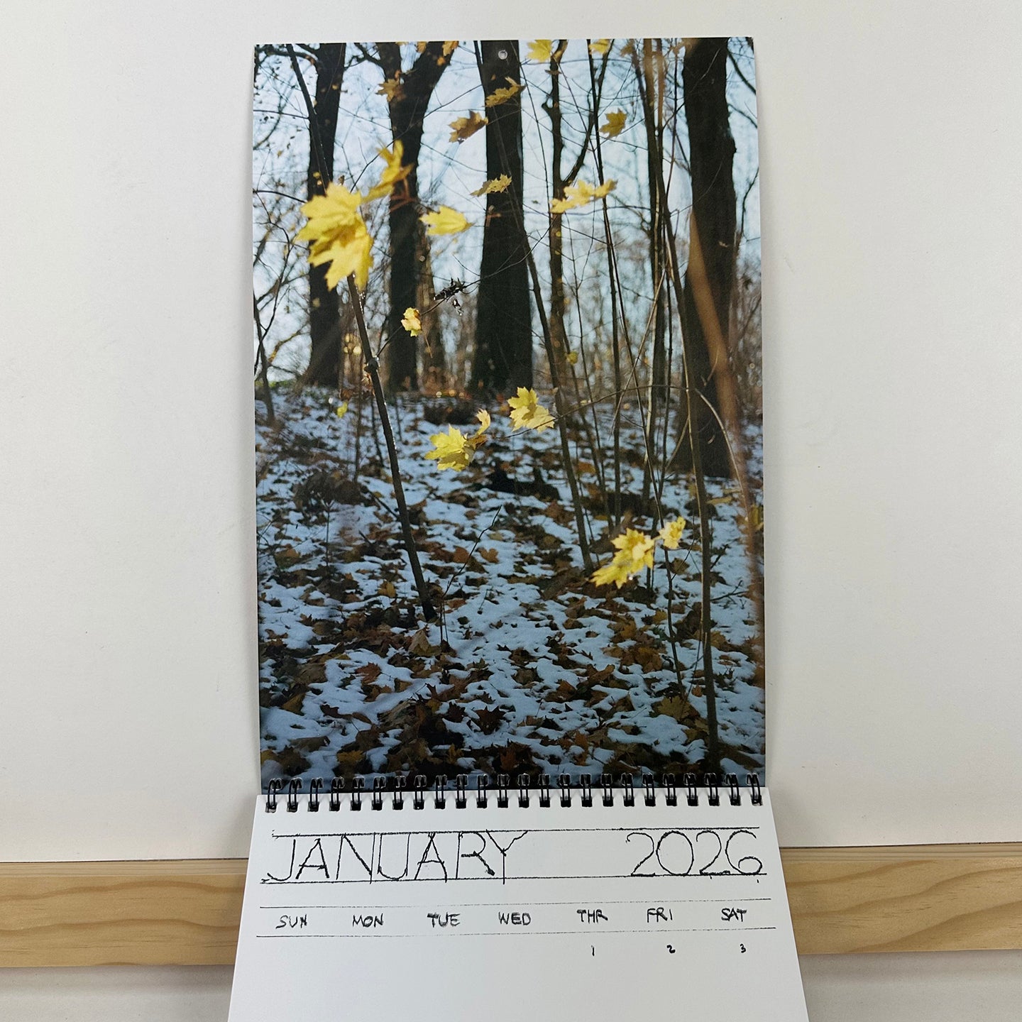 2026 Calendar by Georgia Hilmer