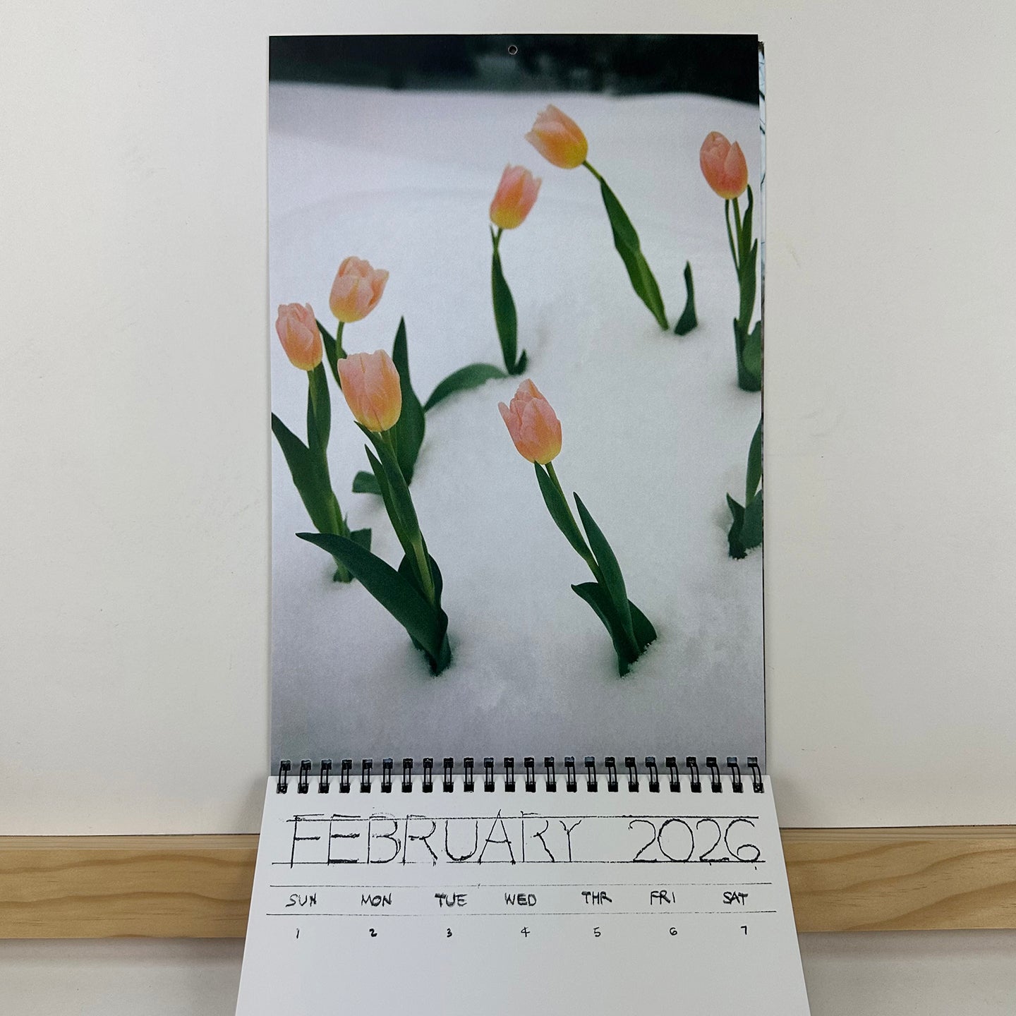 2026 Calendar by Georgia Hilmer