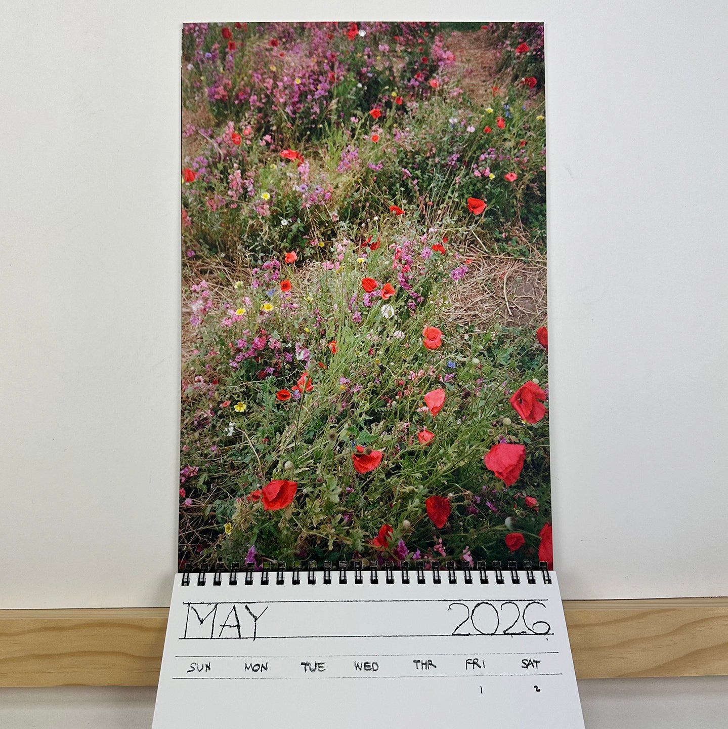 2026 Calendar by Georgia Hilmer