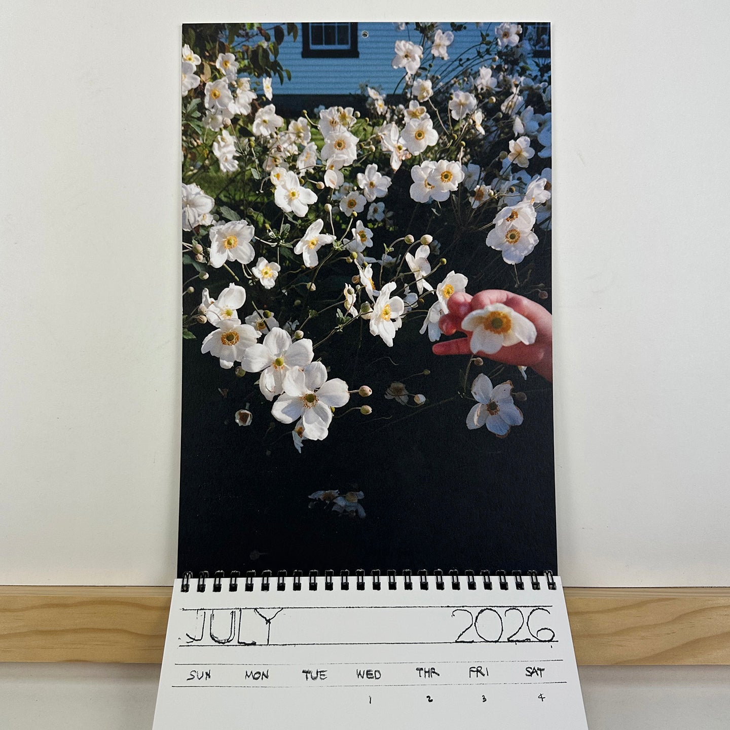 2026 Calendar by Georgia Hilmer