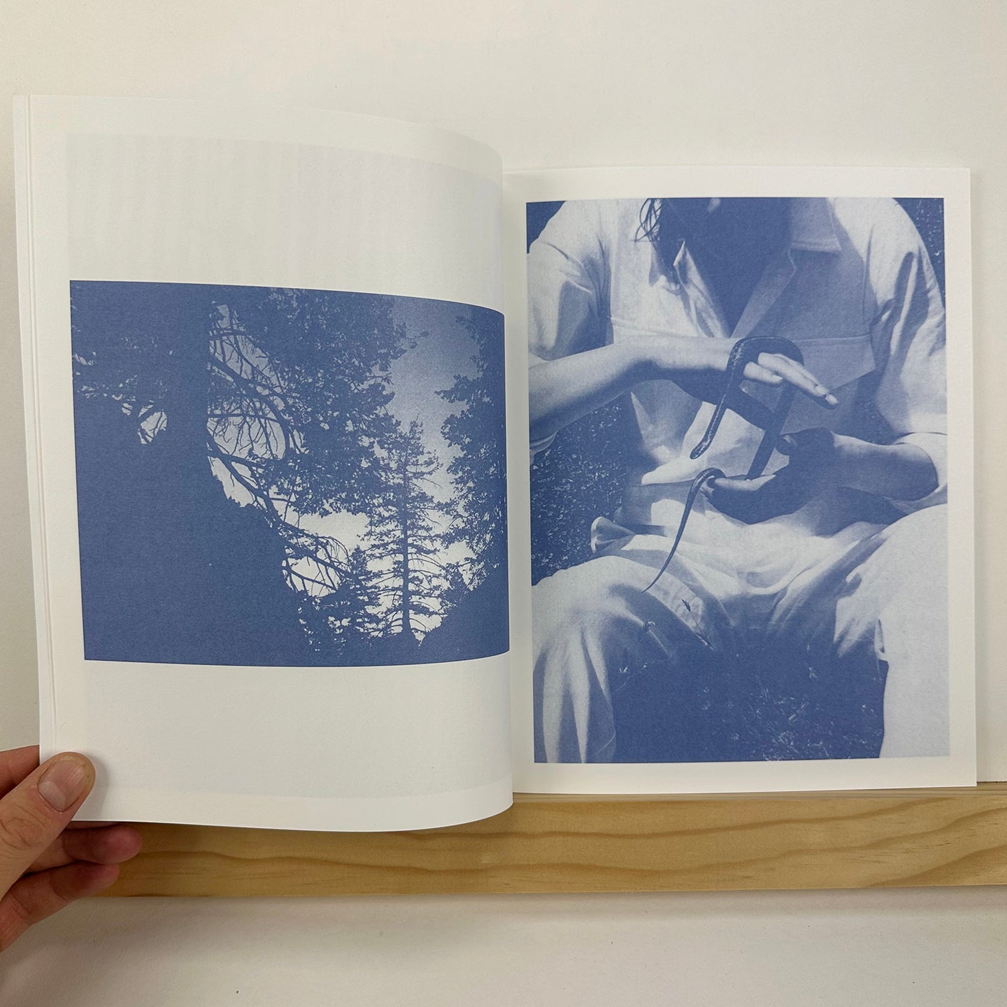 New Blues by Tim Barber