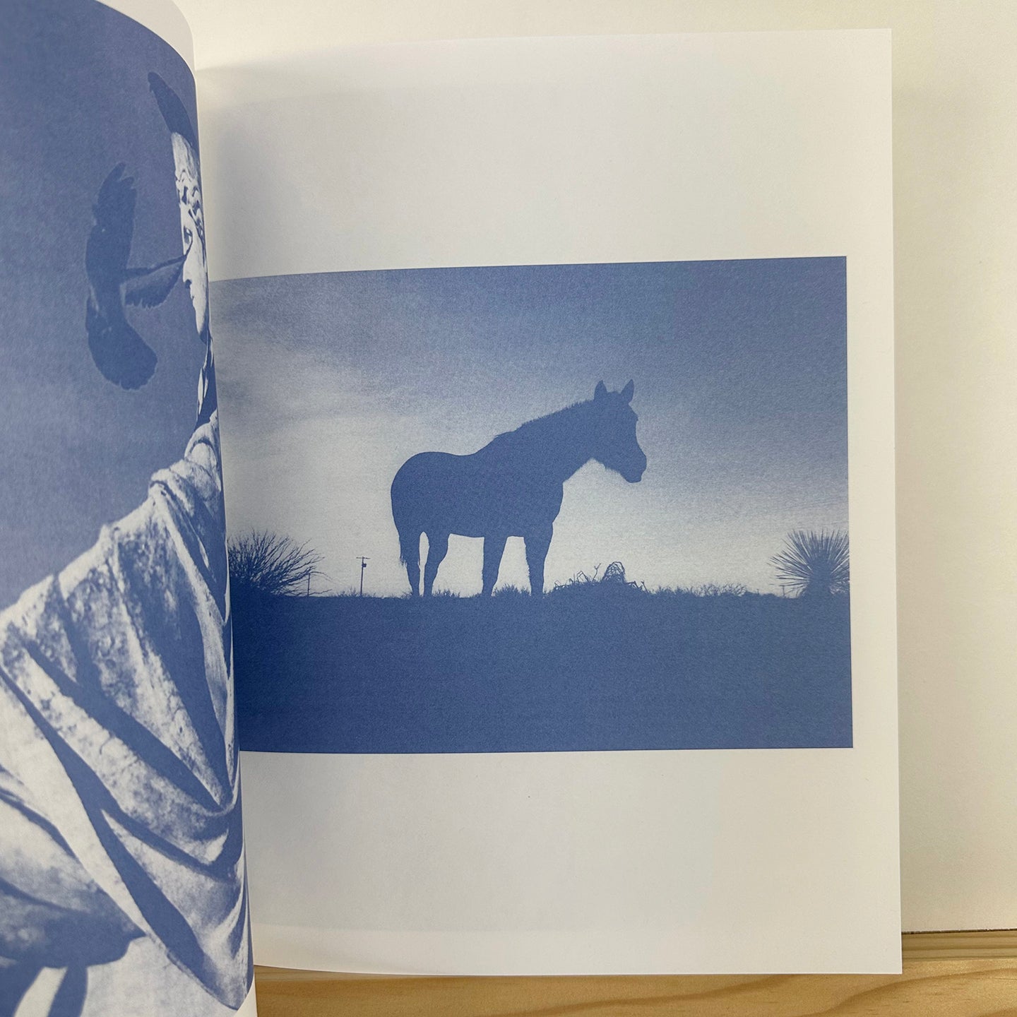 New Blues by Tim Barber