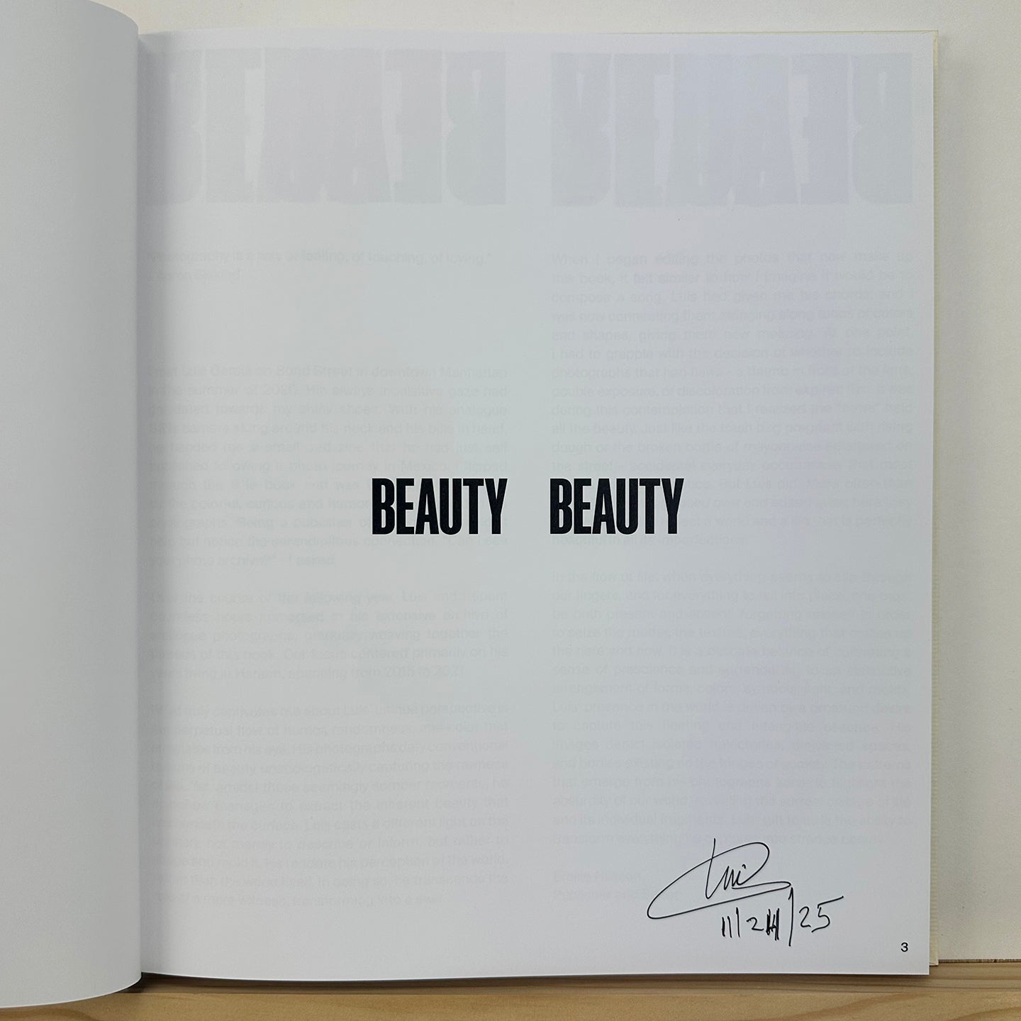 Beauty Beauty by Luis Garcia