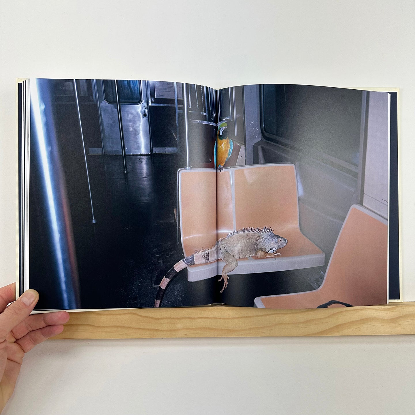 Beauty Beauty by Luis Garcia