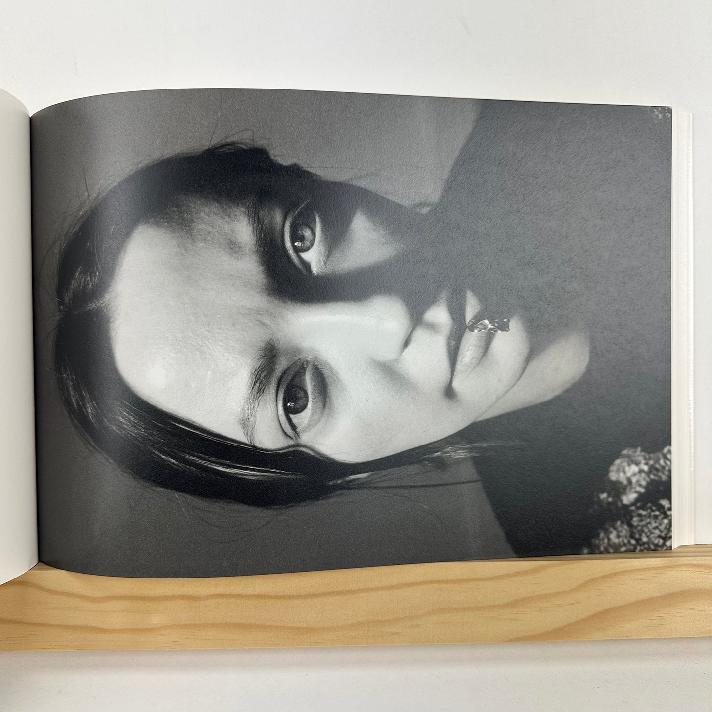 Gilded Lilies by Steph Wilson