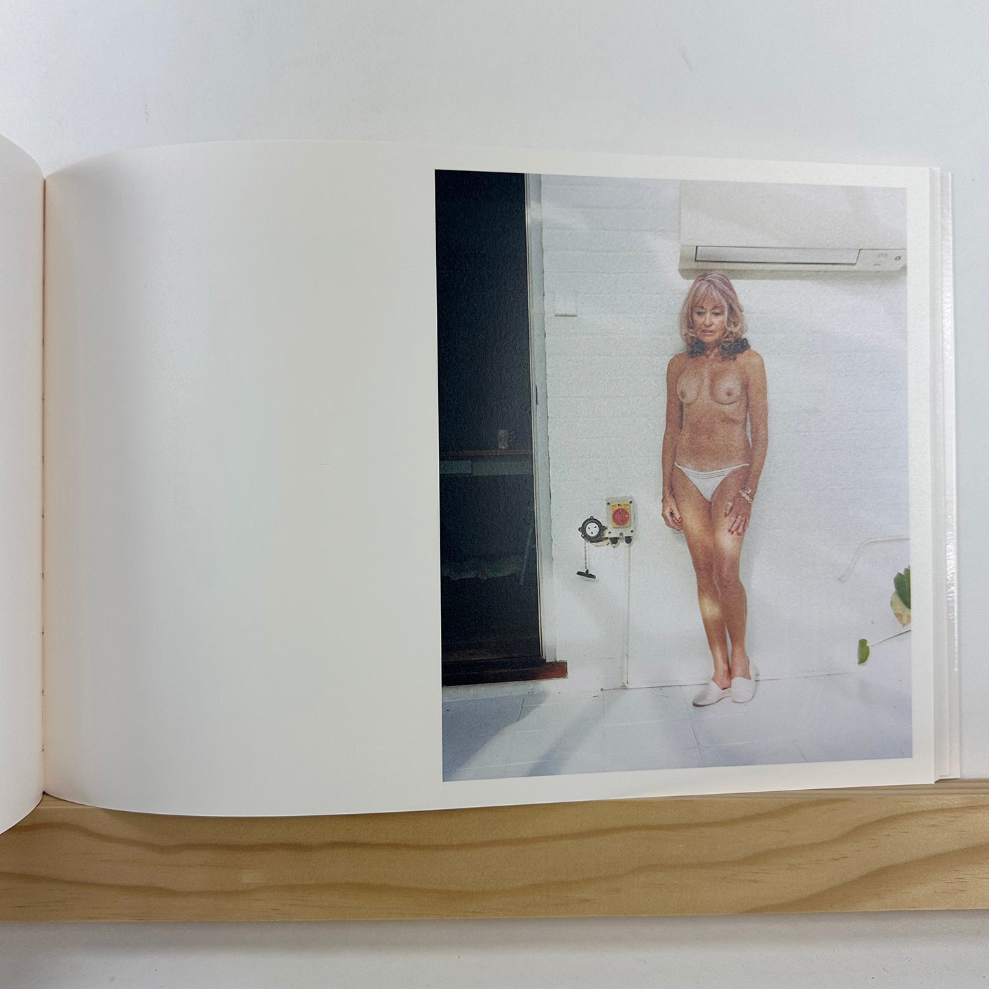 Gilded Lilies by Steph Wilson