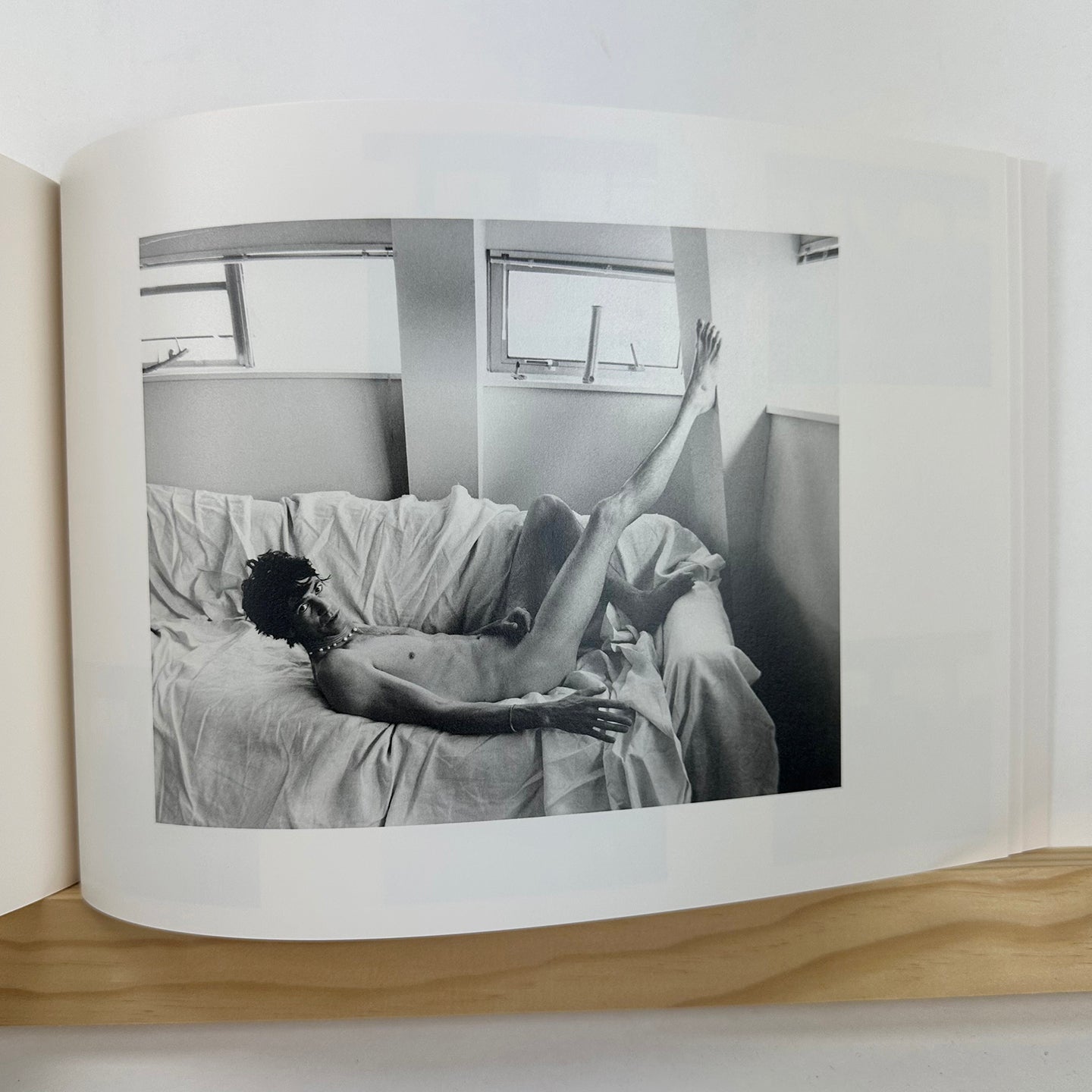 Gilded Lilies by Steph Wilson