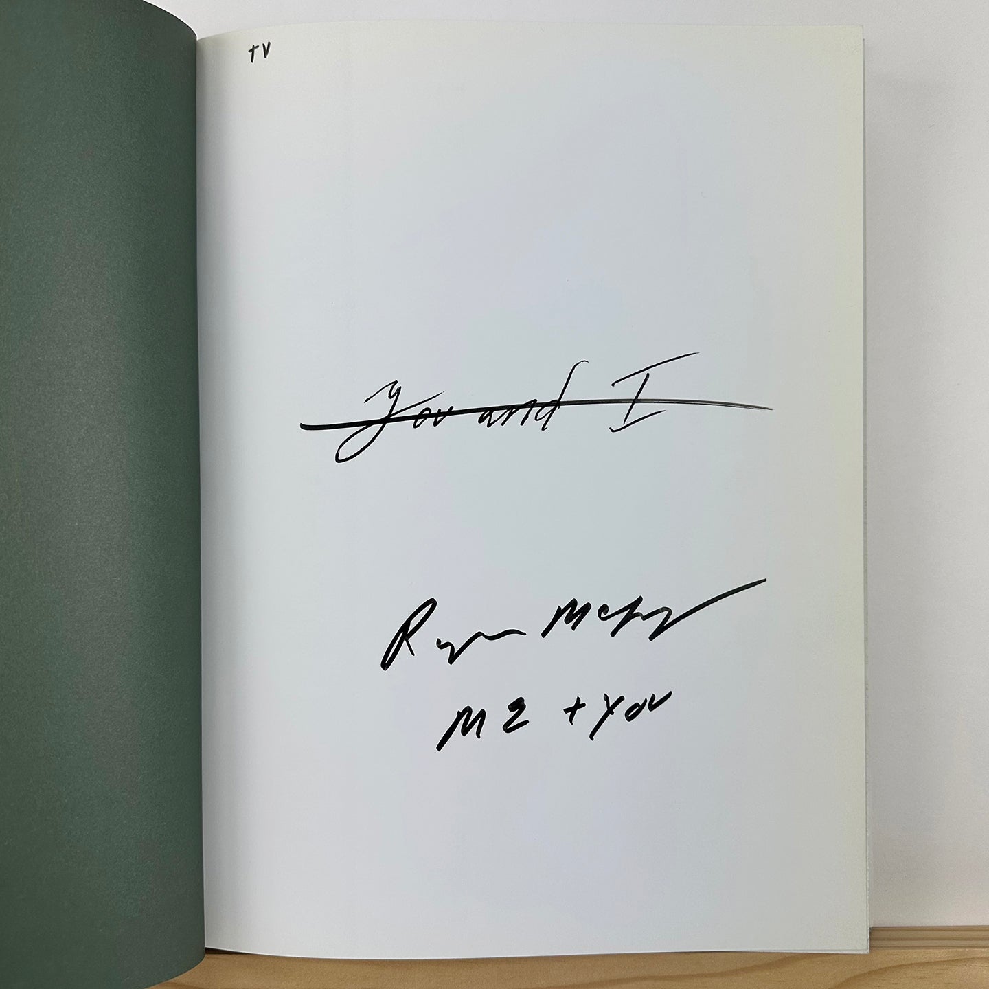 You and I by Ryan McGinley – Rectangle