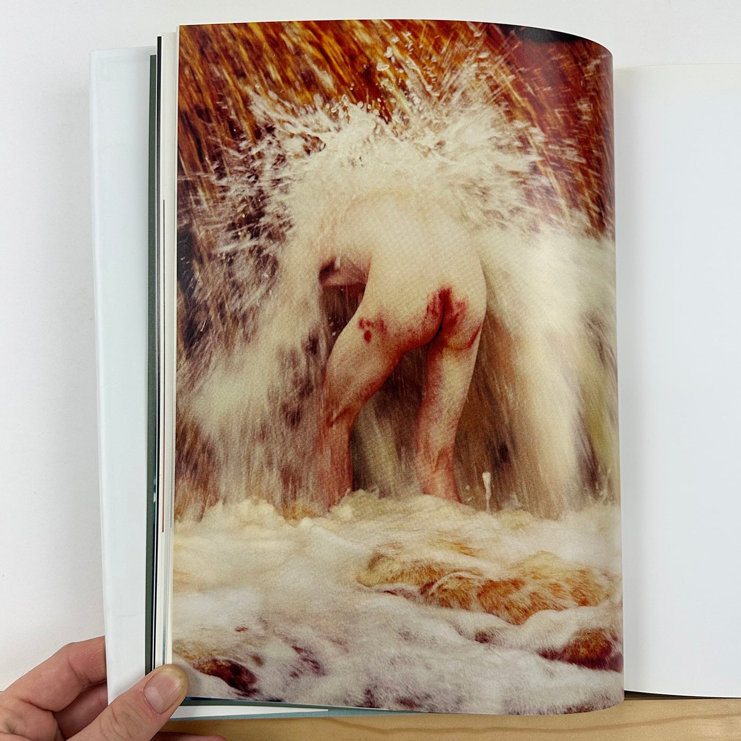 You and I by Ryan McGinley