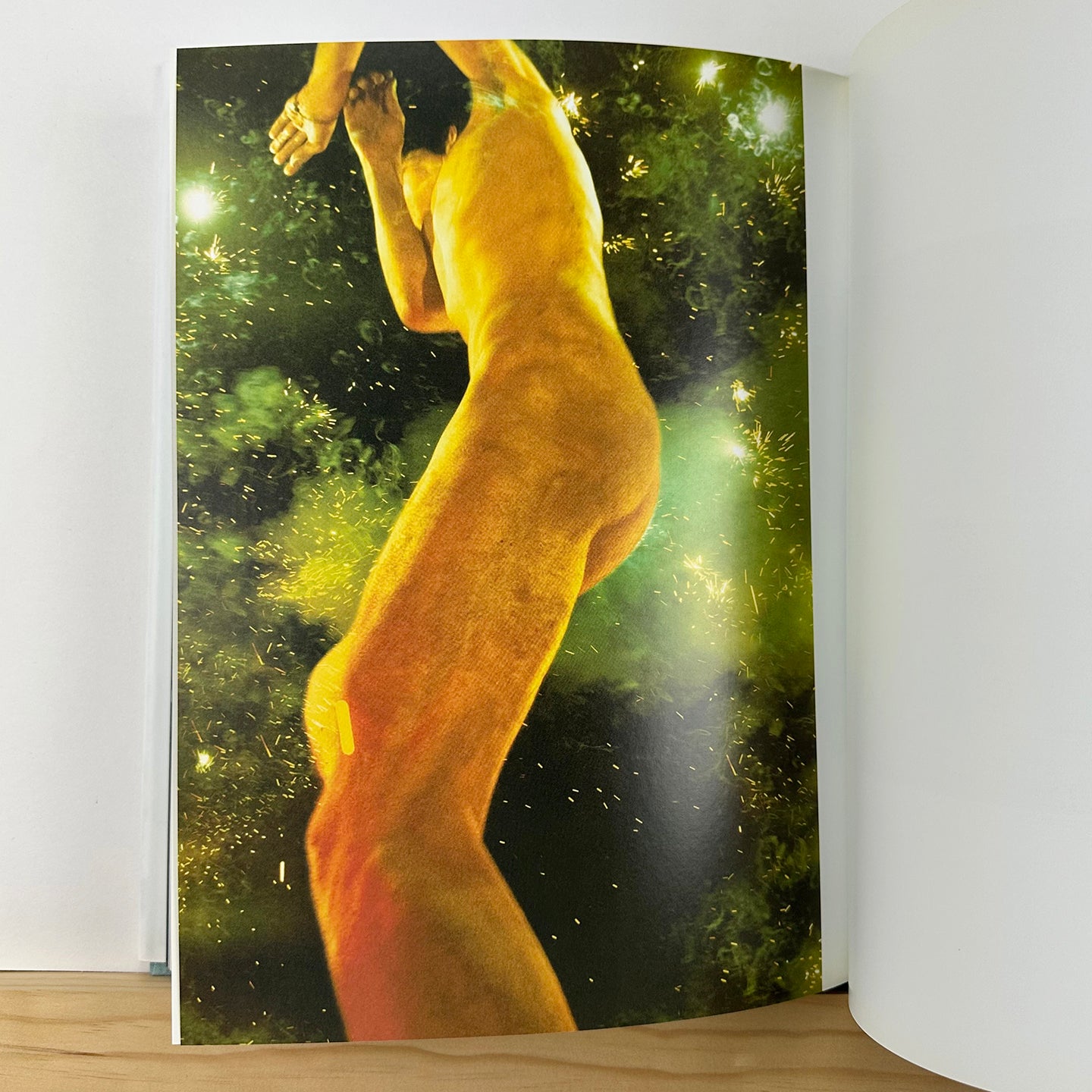 You and I by Ryan McGinley