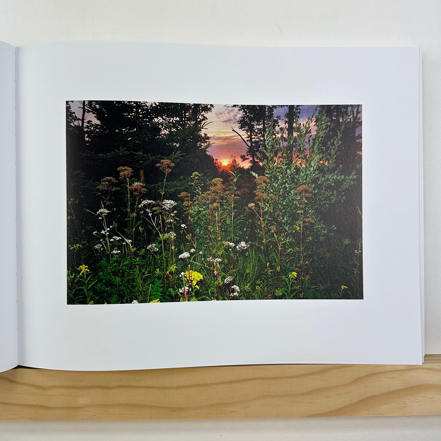 You Are What You Do by Daniel Arnold