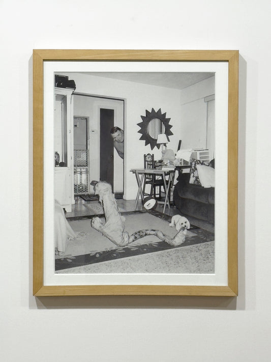 Untitled (pet) by Asger Carlsen