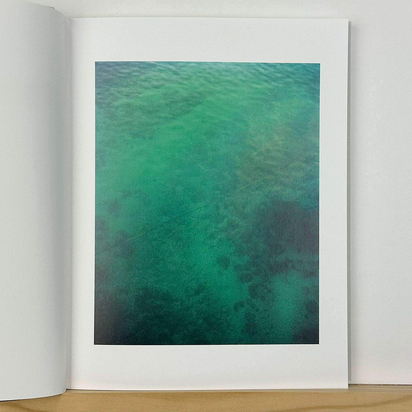 Collider by Carl Wooley