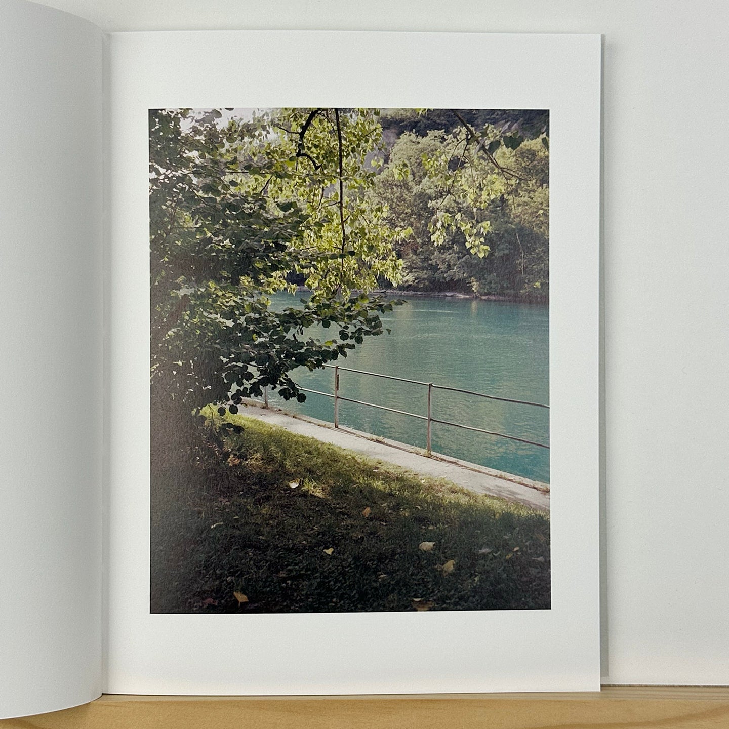 Collider by Carl Wooley