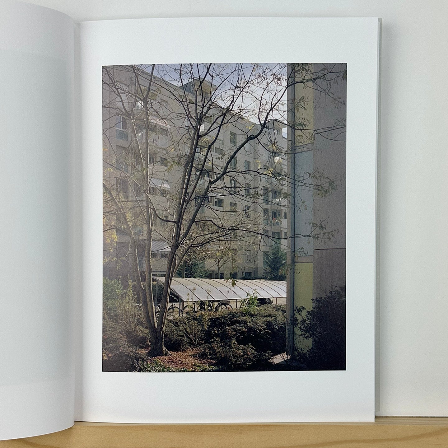 Collider by Carl Wooley