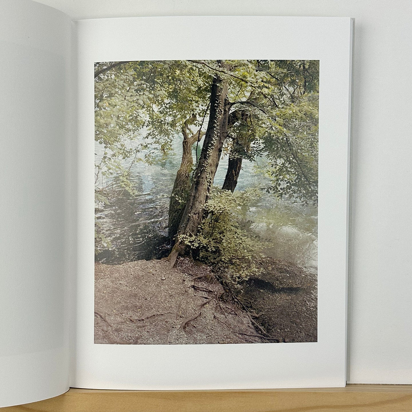 Collider by Carl Wooley