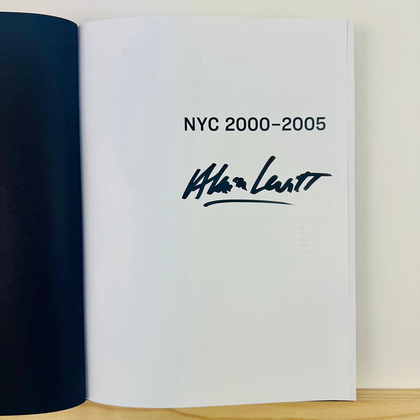 NYC 2000-2005 by Alain Levitt (Kama cover & print)
