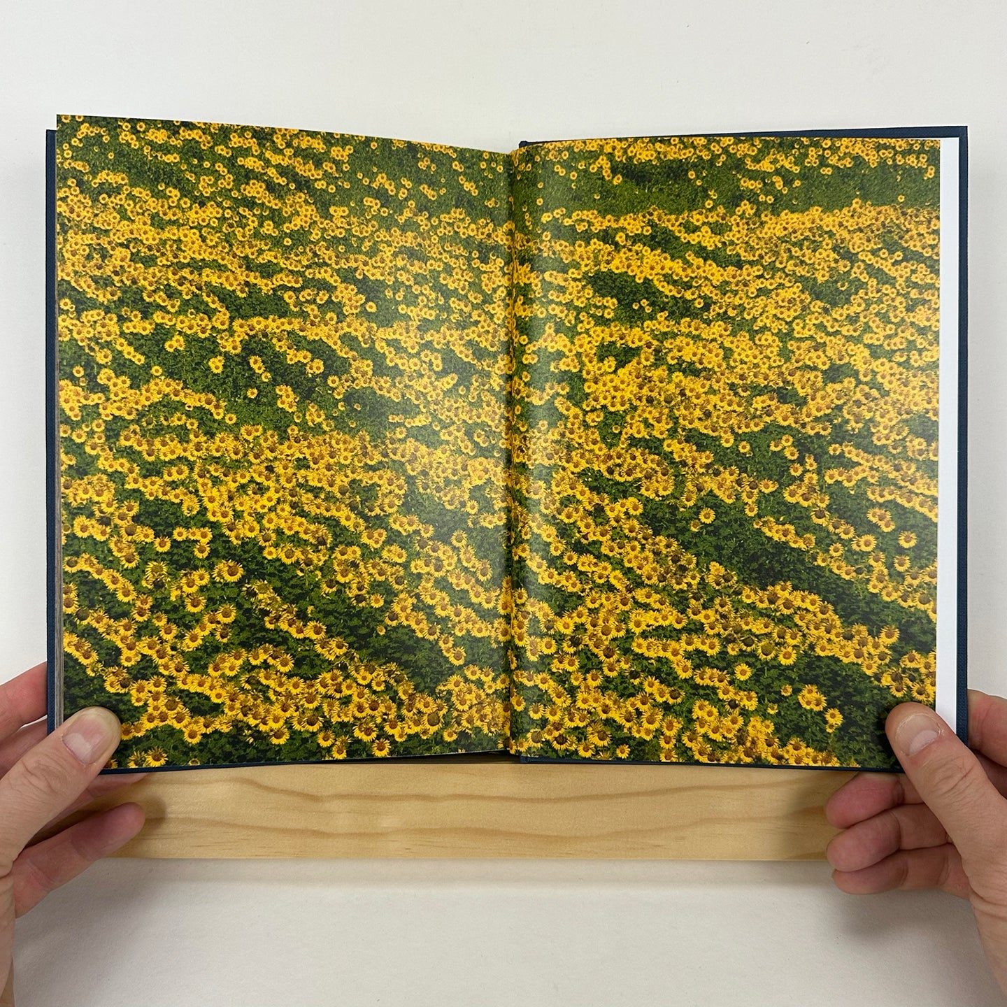 Time Elapsed Time Remaining by Pete Volker