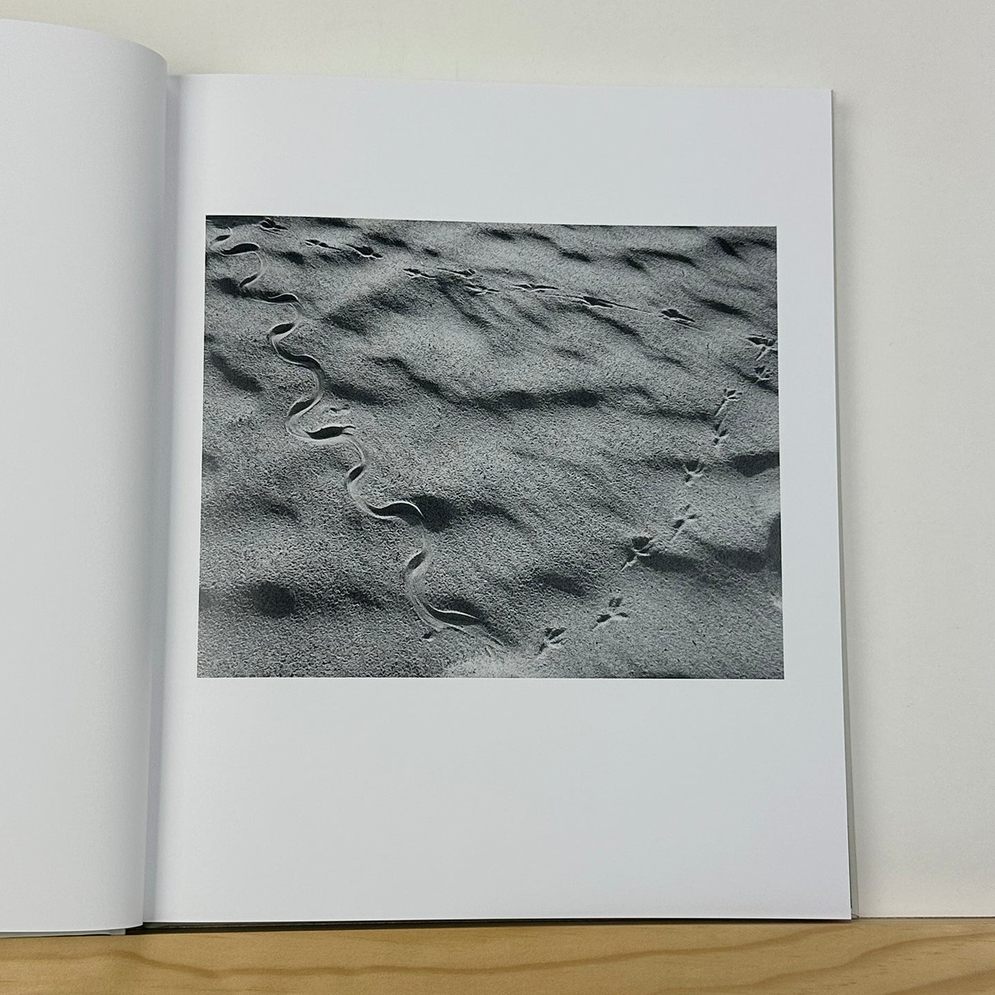 Crisis Tapes by Charlie Simokaitis