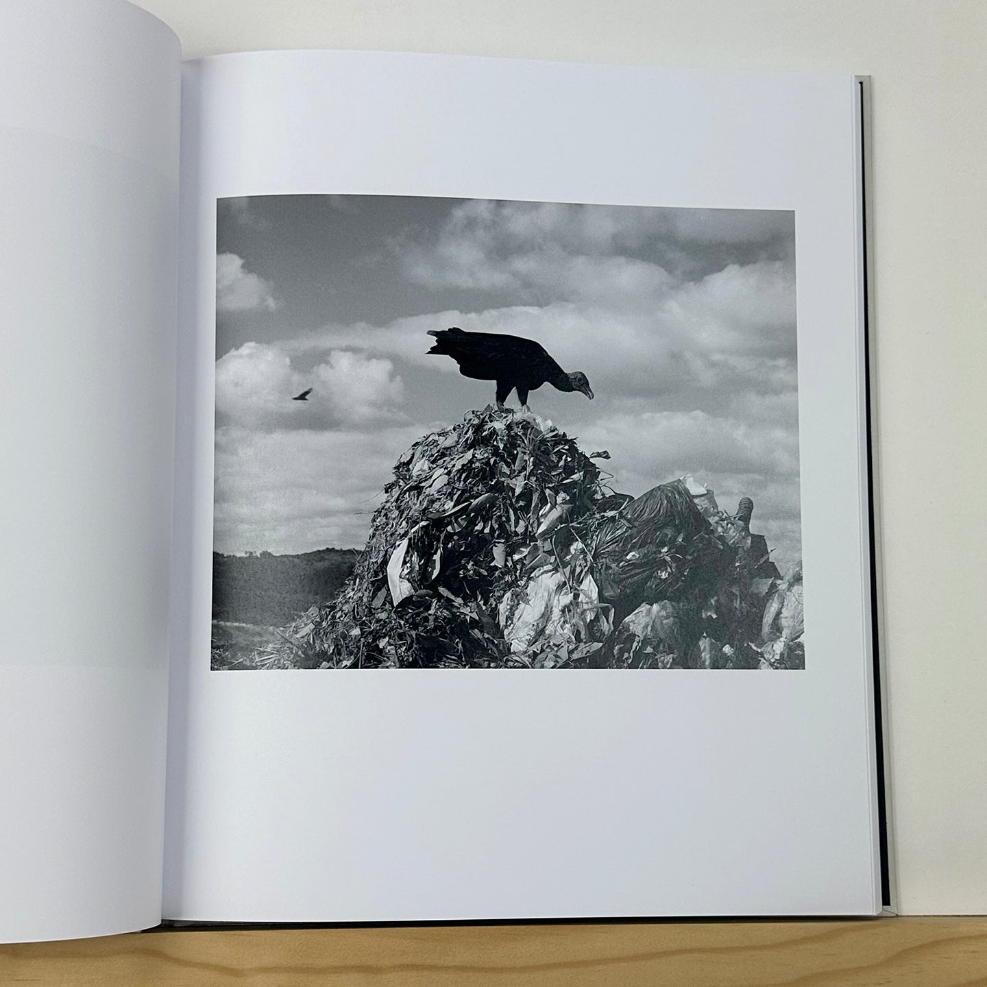 Crisis Tapes by Charlie Simokaitis