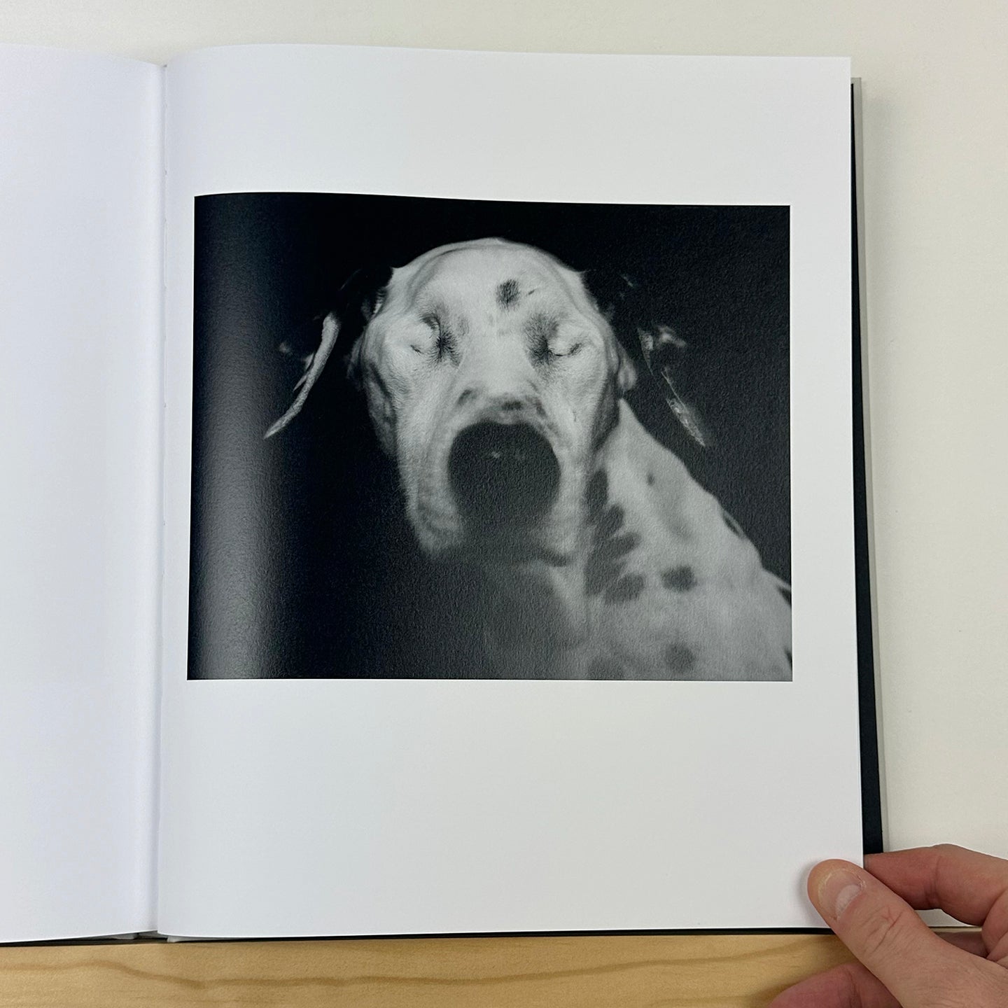 Crisis Tapes by Charlie Simokaitis