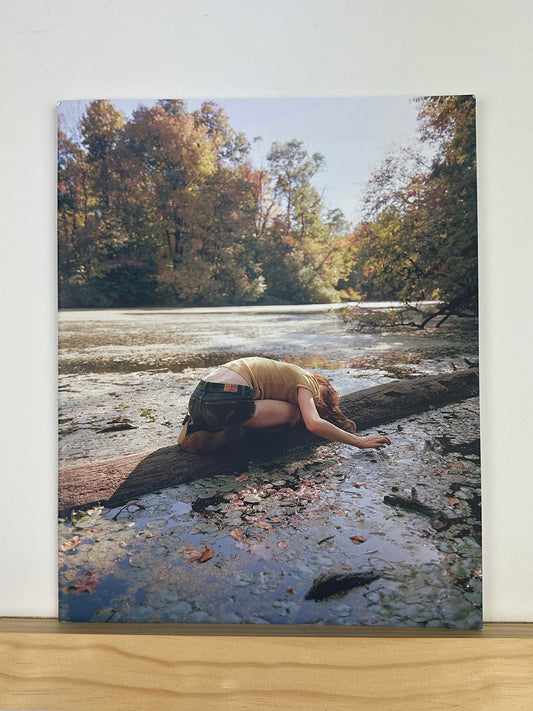 Beneath the Late Sun by Sierra Breeze Petrocelli