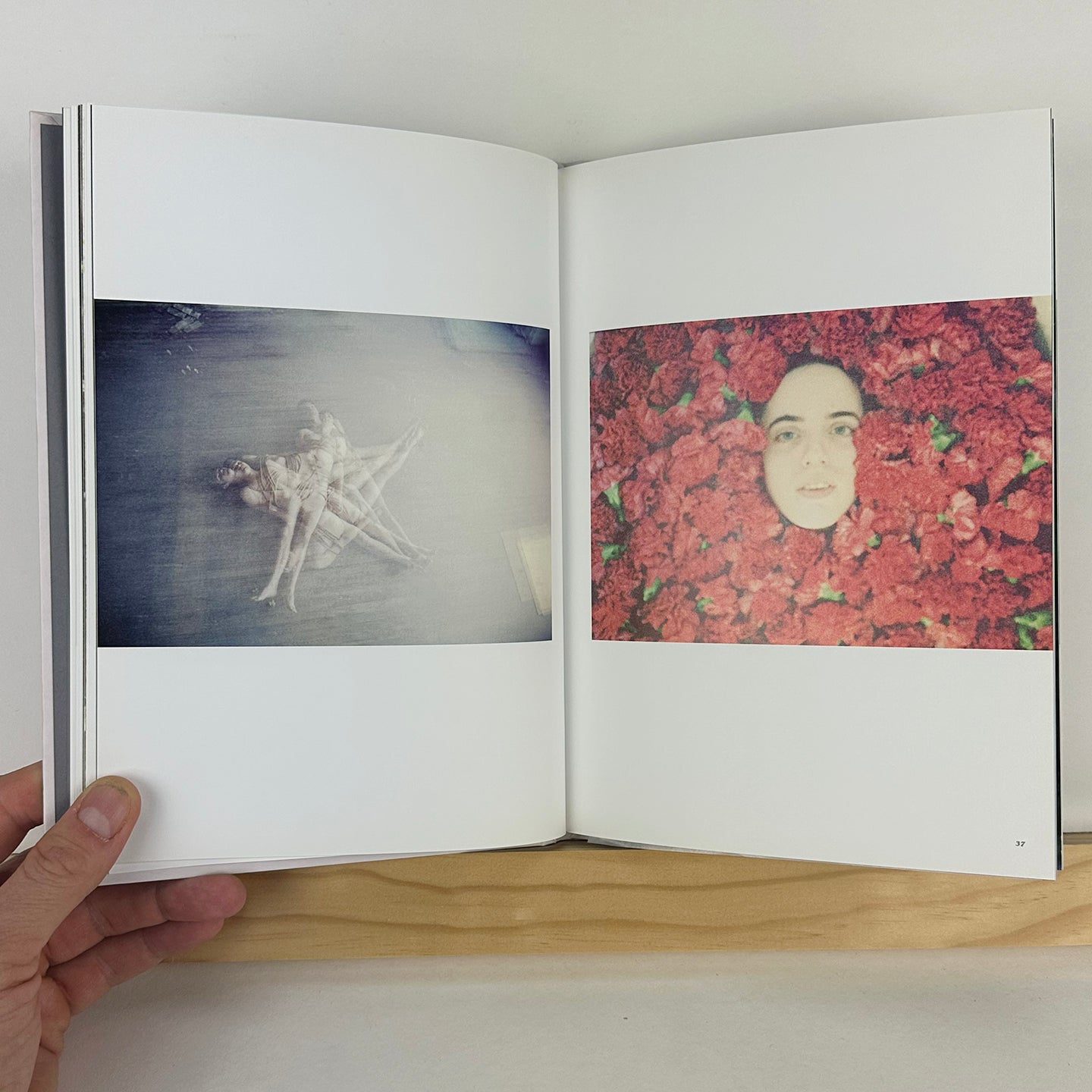 Rose Hill by Logan White