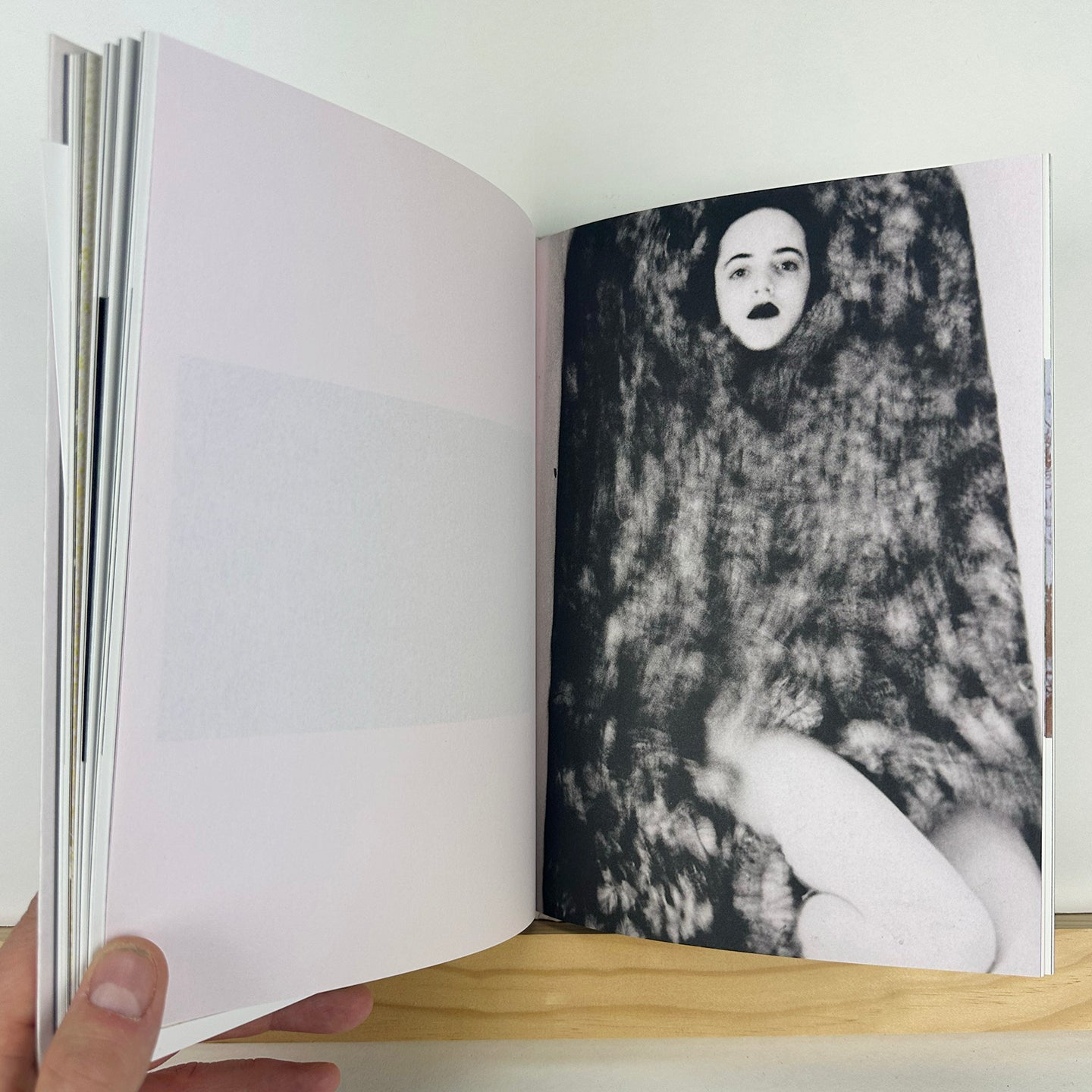 Rose Hill by Logan White