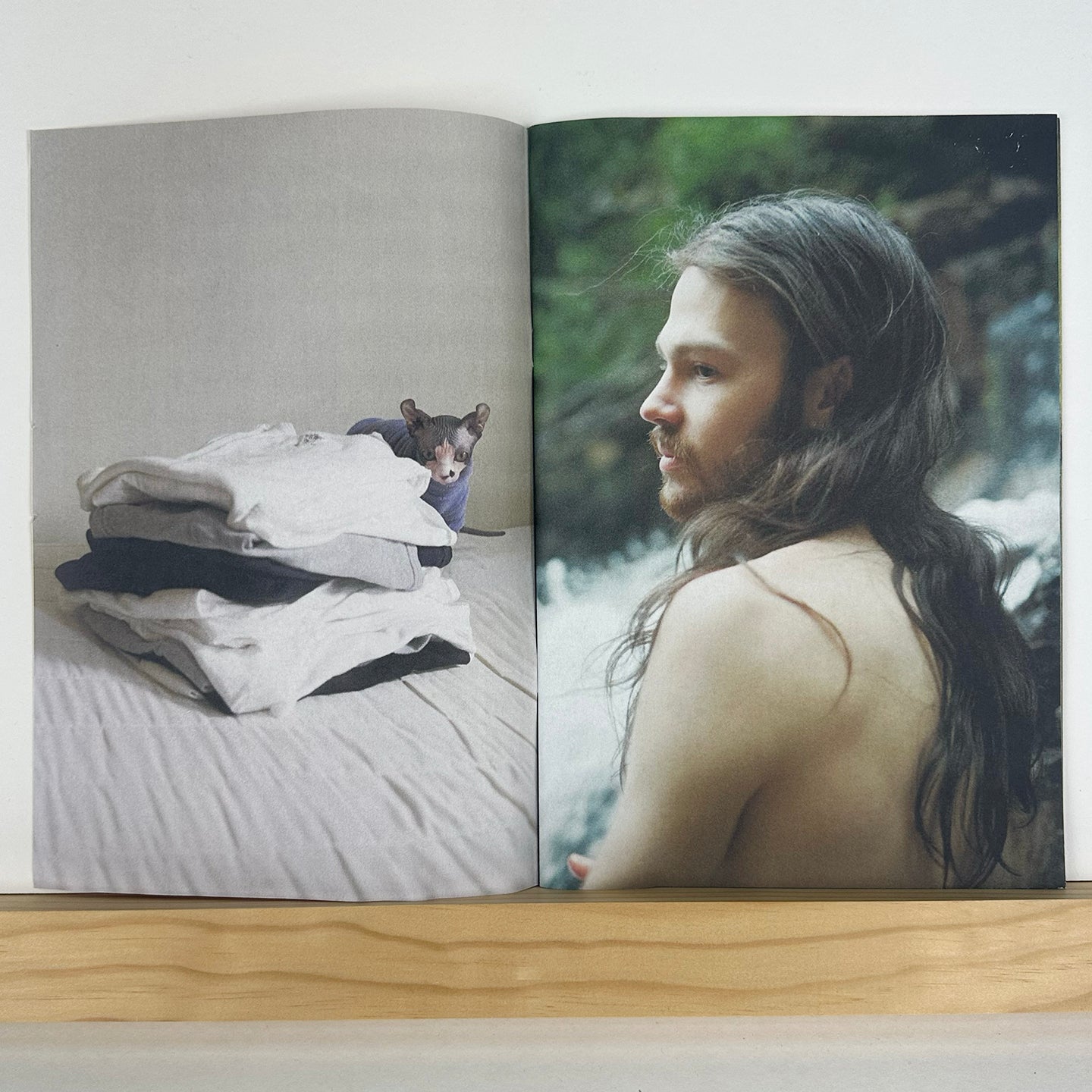 Why Not? by Lee Foxcliff