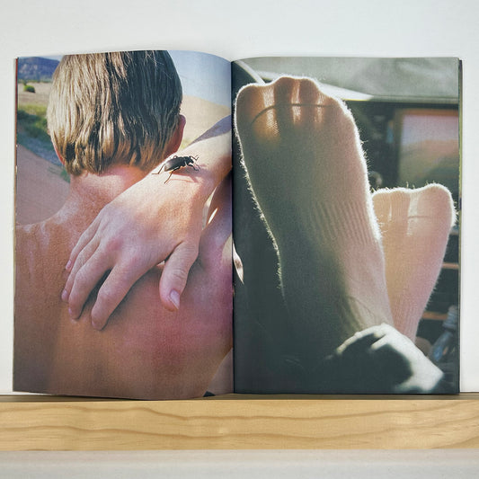 Why Not? by Lee Foxcliff