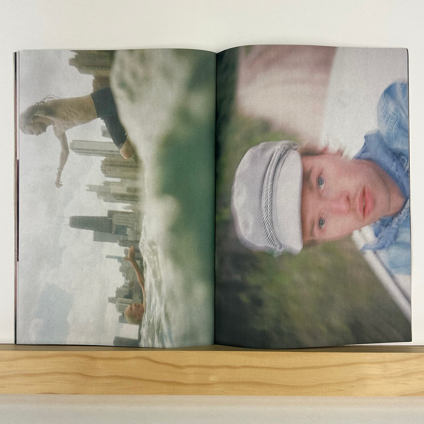 Why Not? by Lee Foxcliff