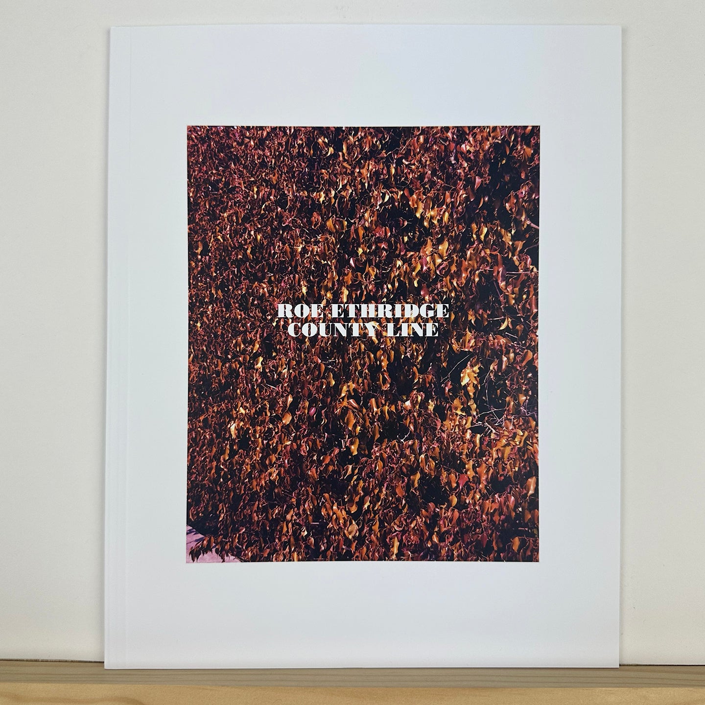 In The Beginning by Roe Ethridge