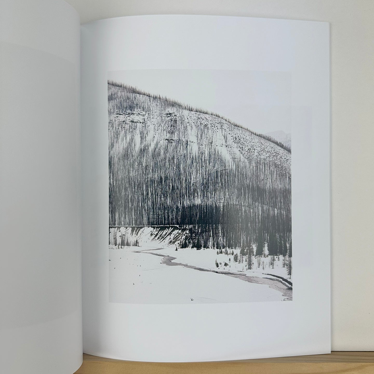 In The Beginning by Roe Ethridge