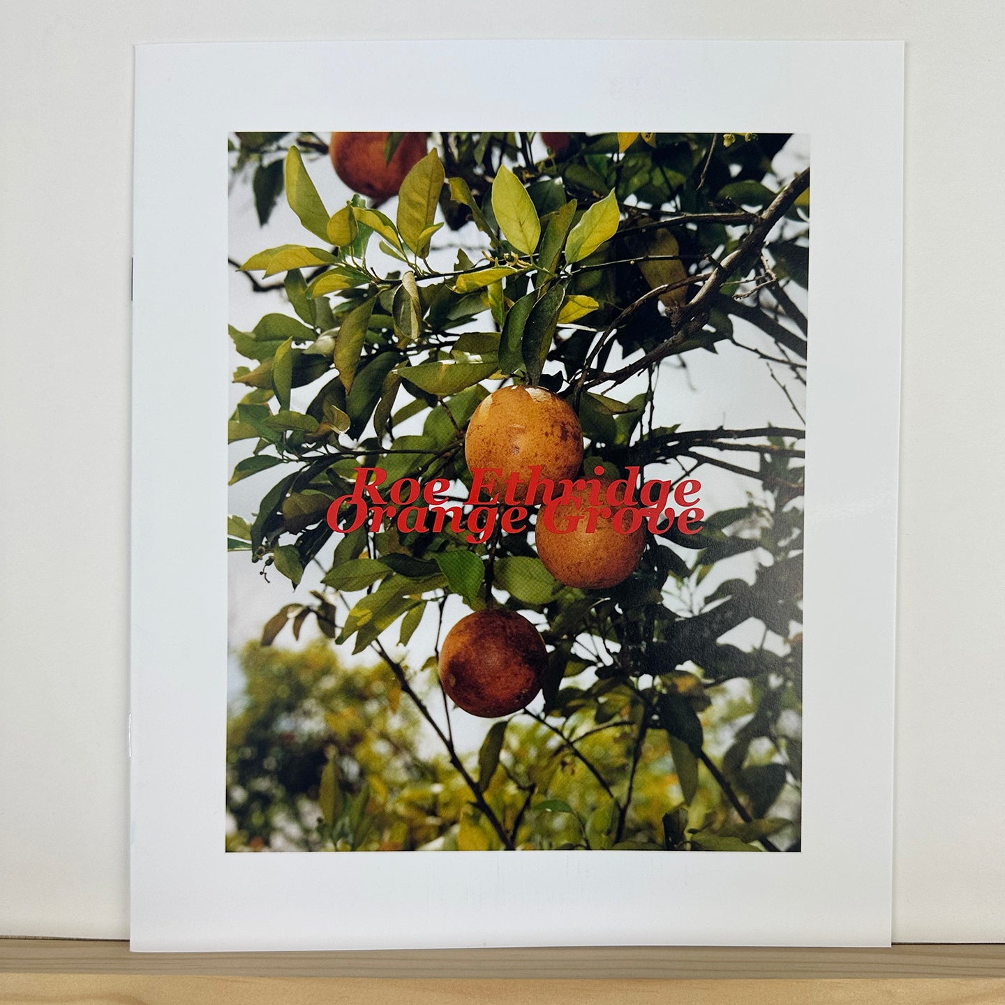 In The Beginning by Roe Ethridge