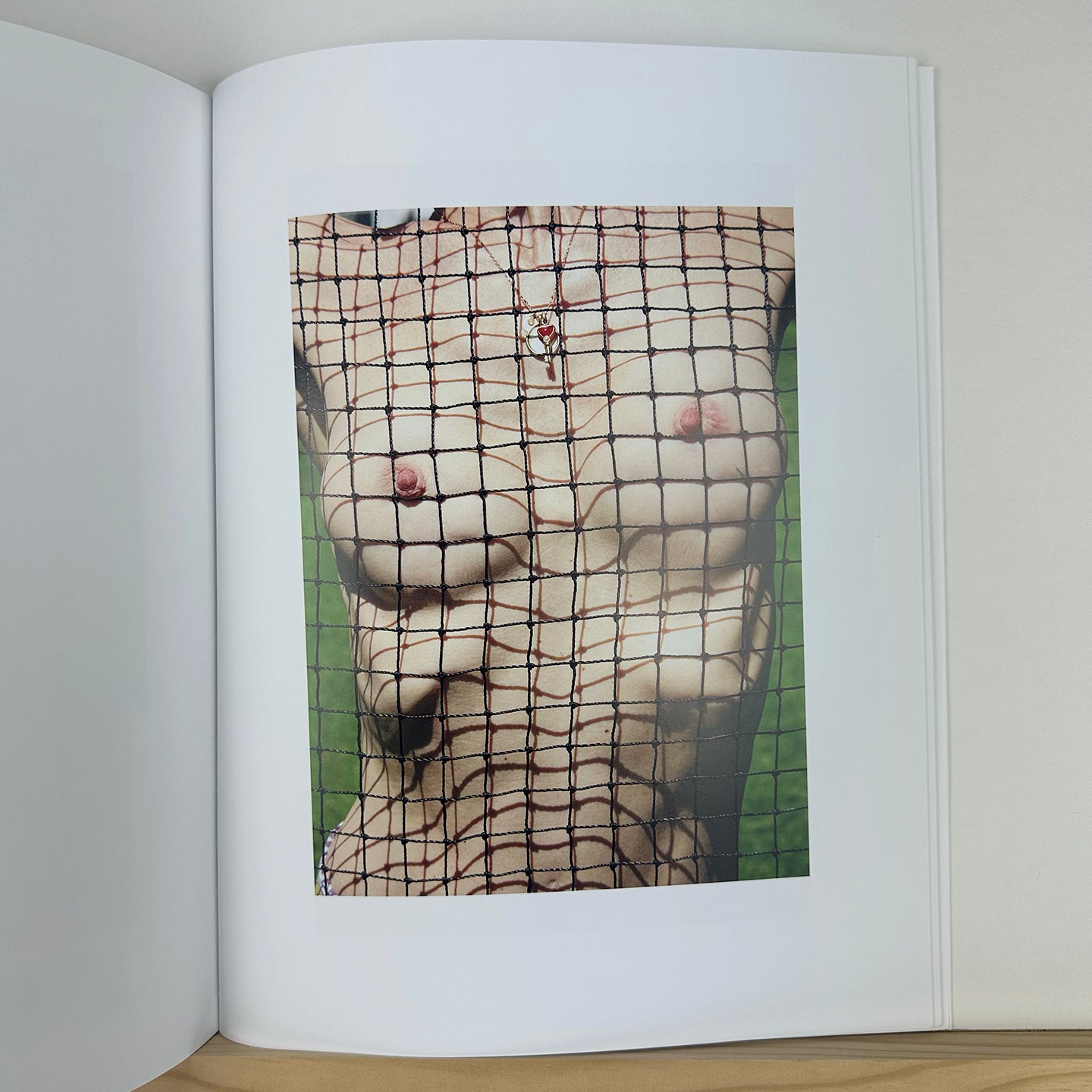 Rude in the Good Way by Roe Ethridge