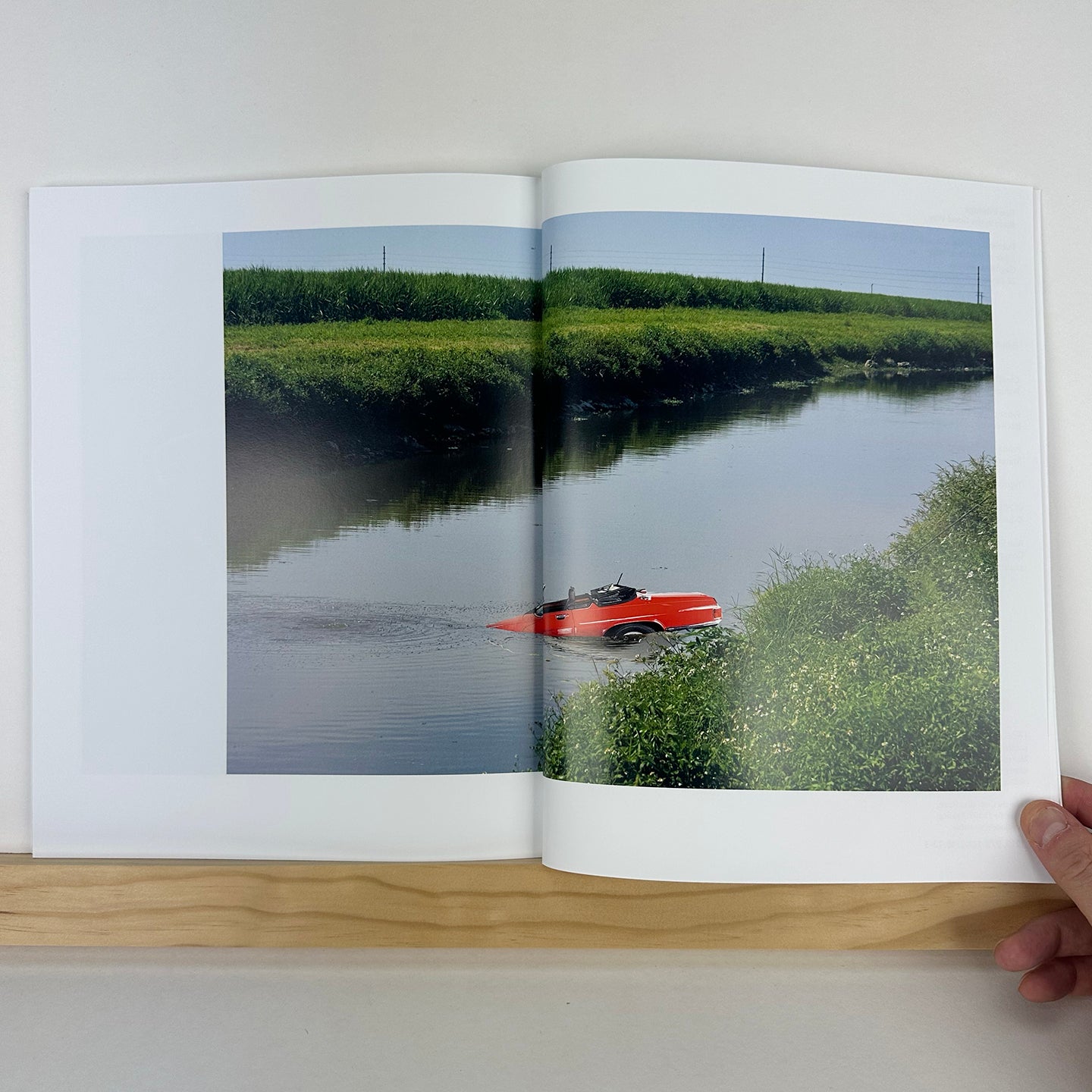 Rude in the Good Way by Roe Ethridge