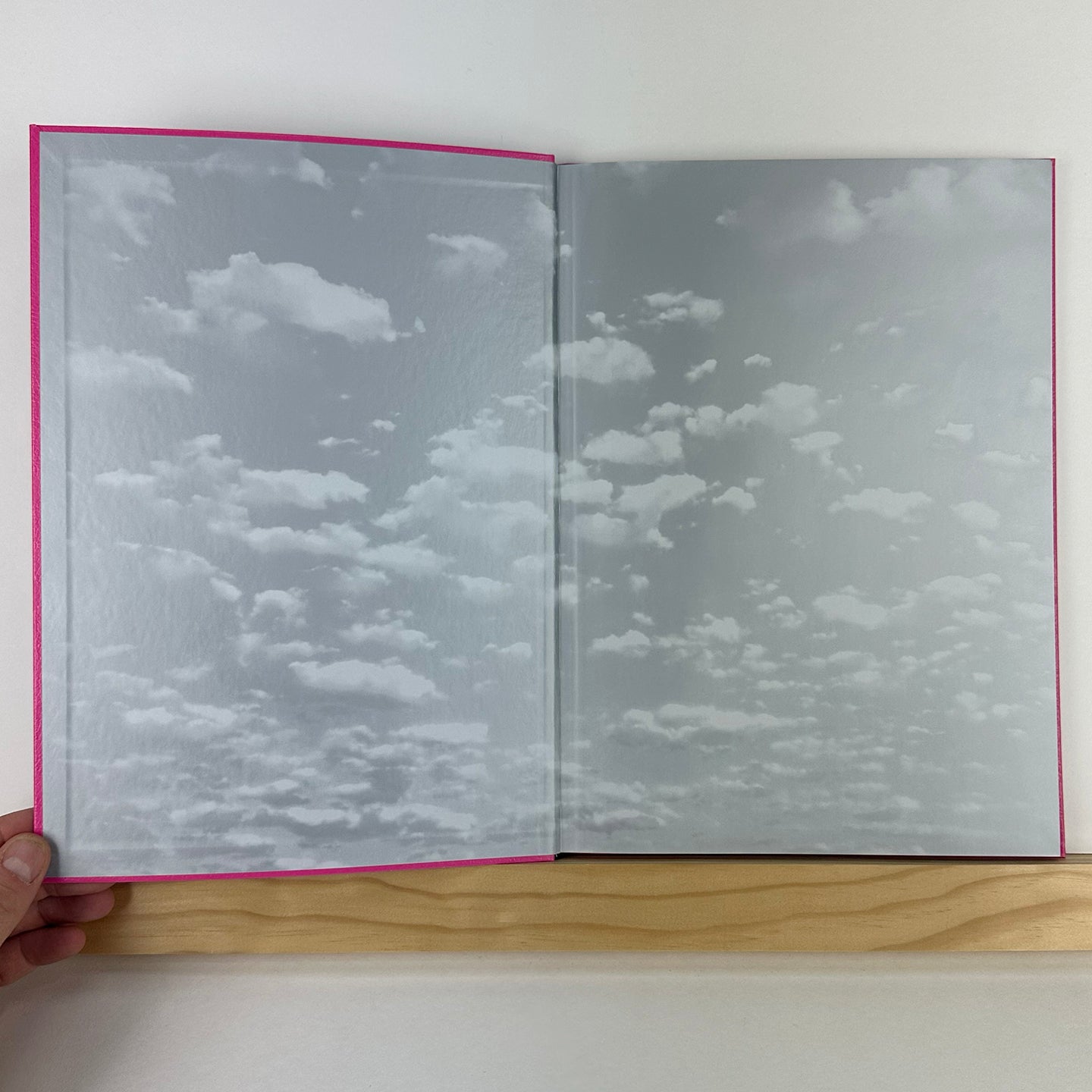 Ursula by Hannah Whitaker