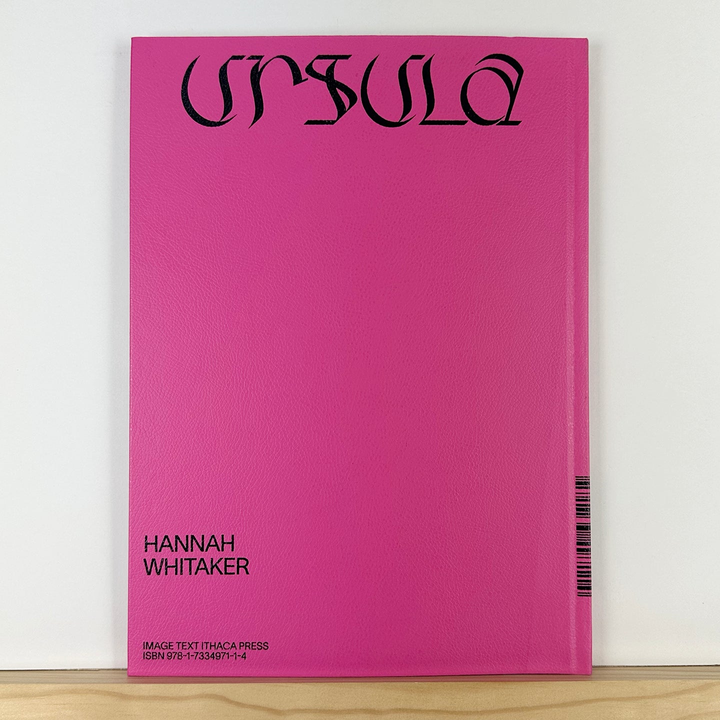 Ursula by Hannah Whitaker