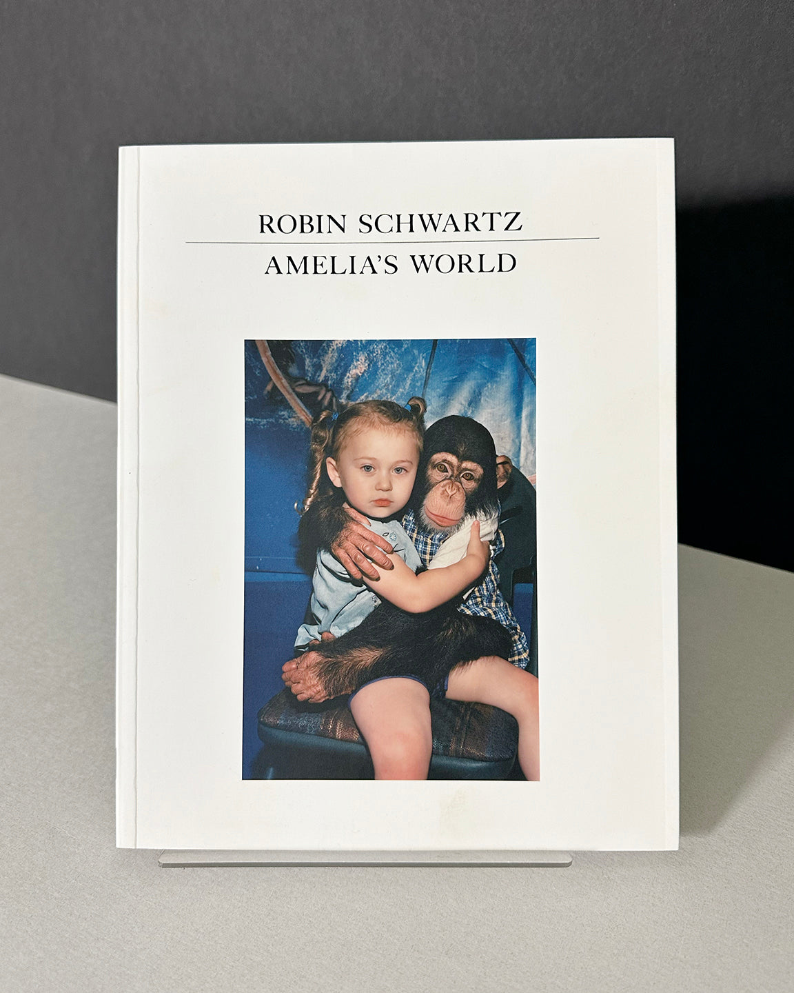 Amelia's World by Robin Schwartz