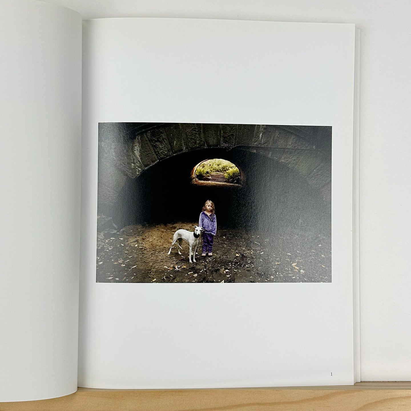 Amelia's World by Robin Schwartz