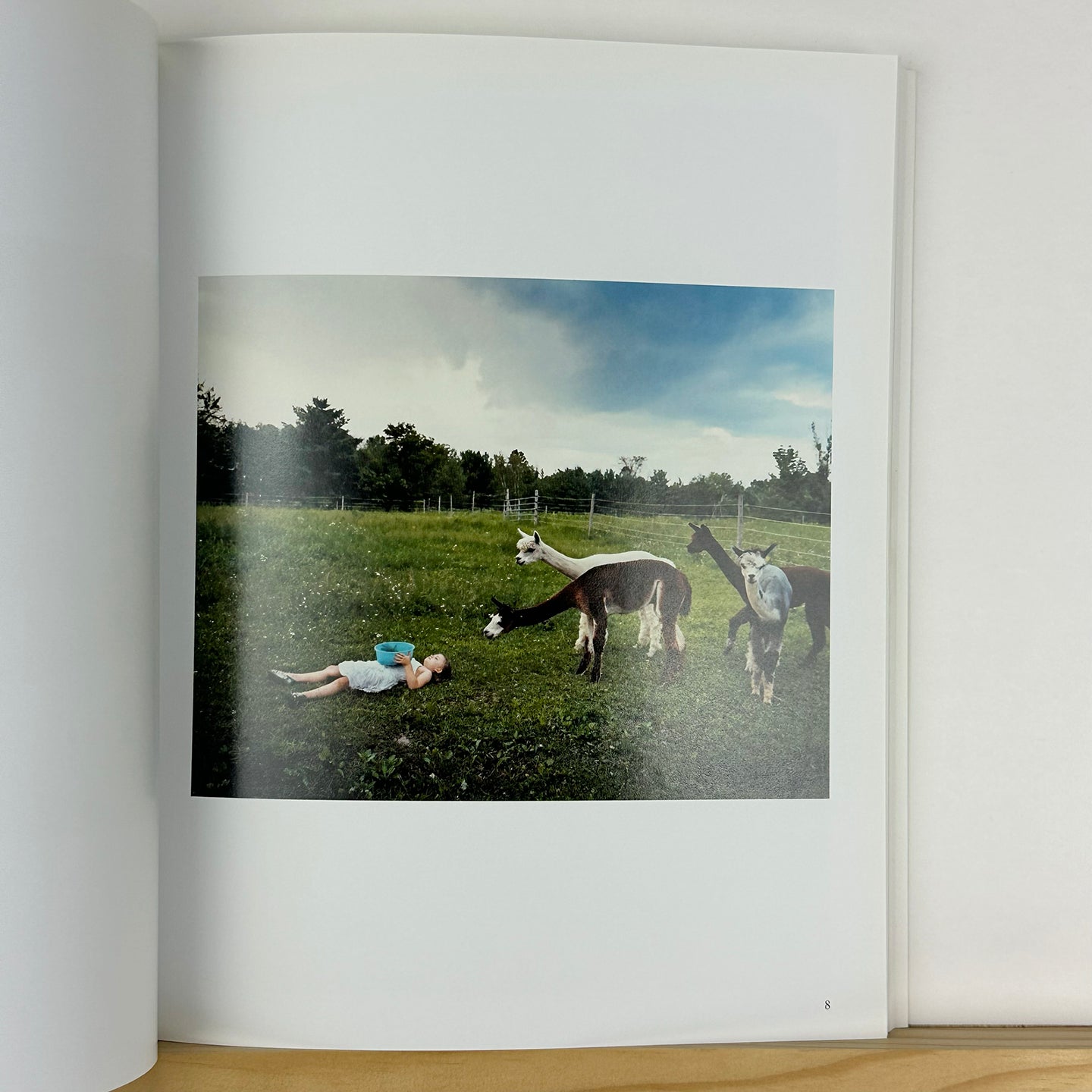 Amelia's World by Robin Schwartz