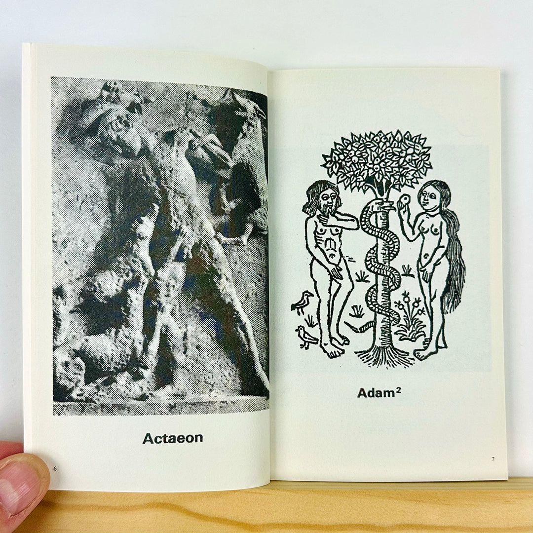 Dictionary by Marc Hundley