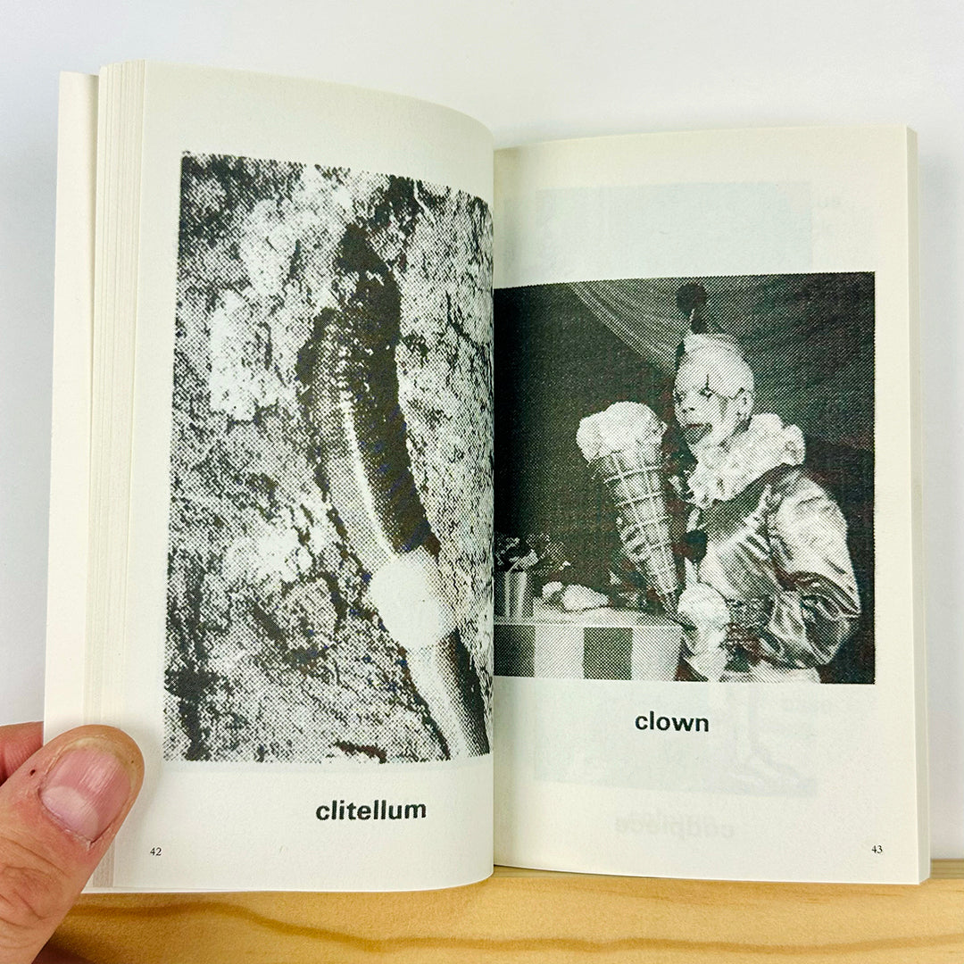 Dictionary by Marc Hundley
