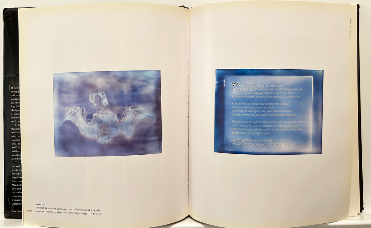 Photography's Antiquarian Avant-Garde by Lyle Rexer