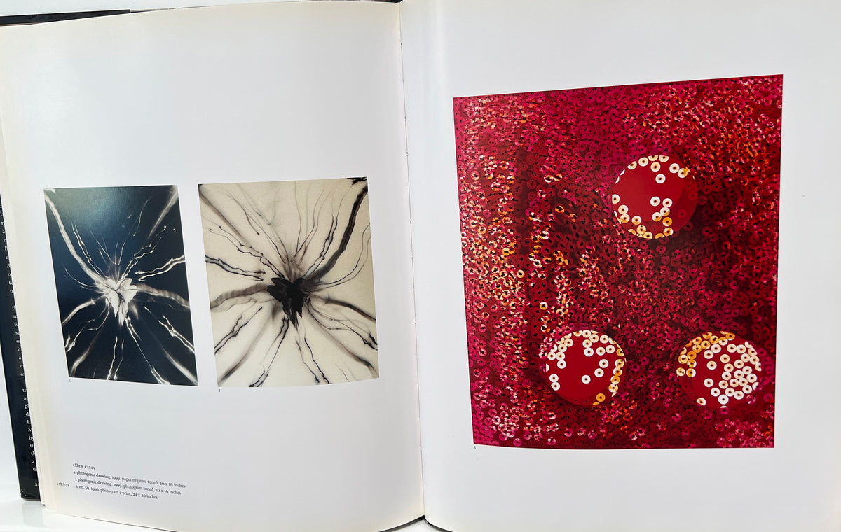 Photography's Antiquarian Avant-Garde by Lyle Rexer