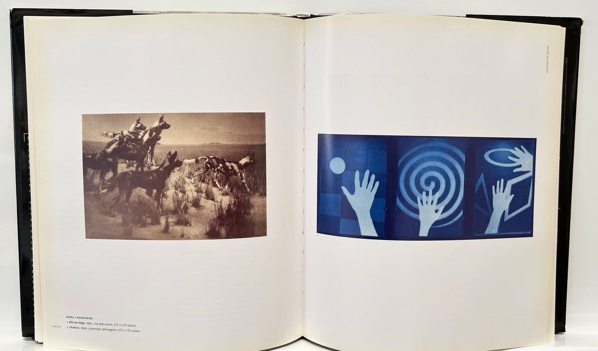 Photography's Antiquarian Avant-Garde by Lyle Rexer